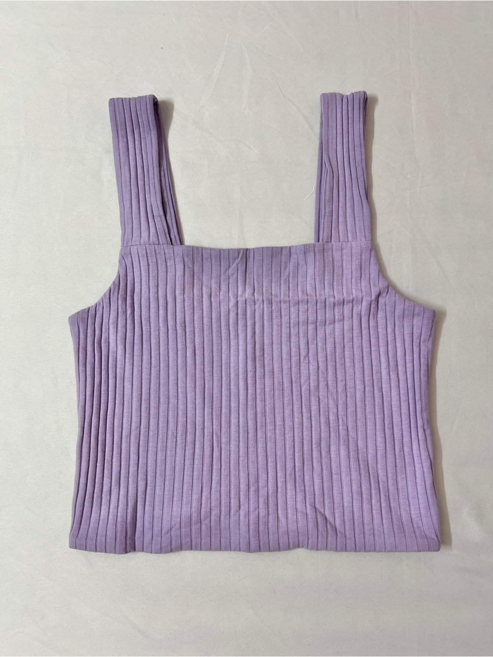 American Eagle Purple Ribbed Cropped Tank Crop Top